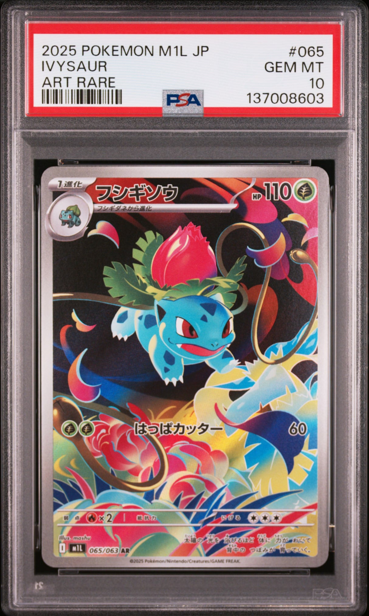 PSA 10 | Sequentiel Set Bulbasaur Ivysaur Venusaur