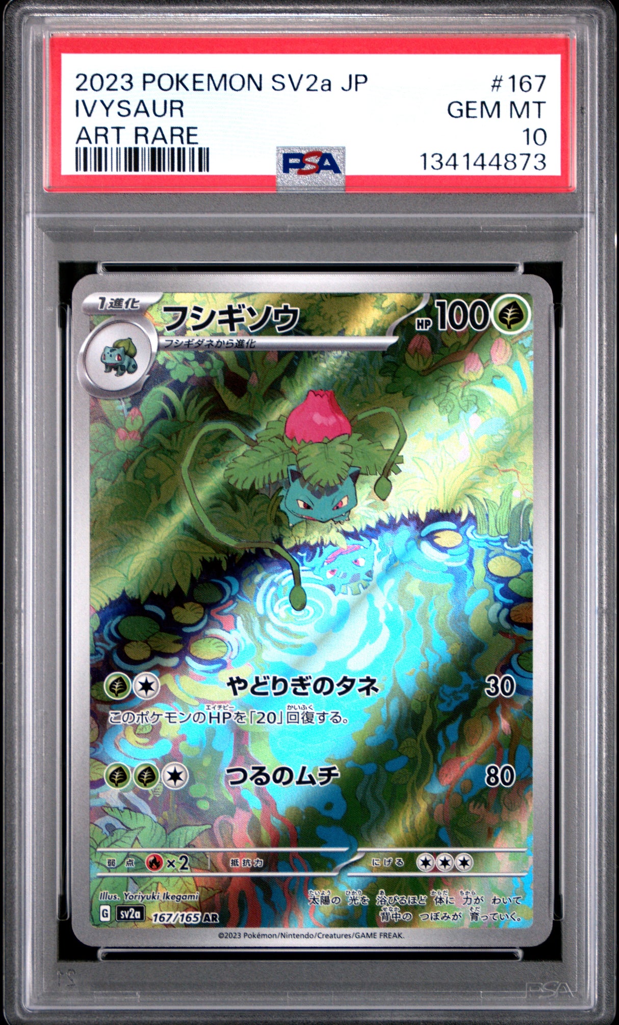 PSA 10 | Ivysaur 167/165