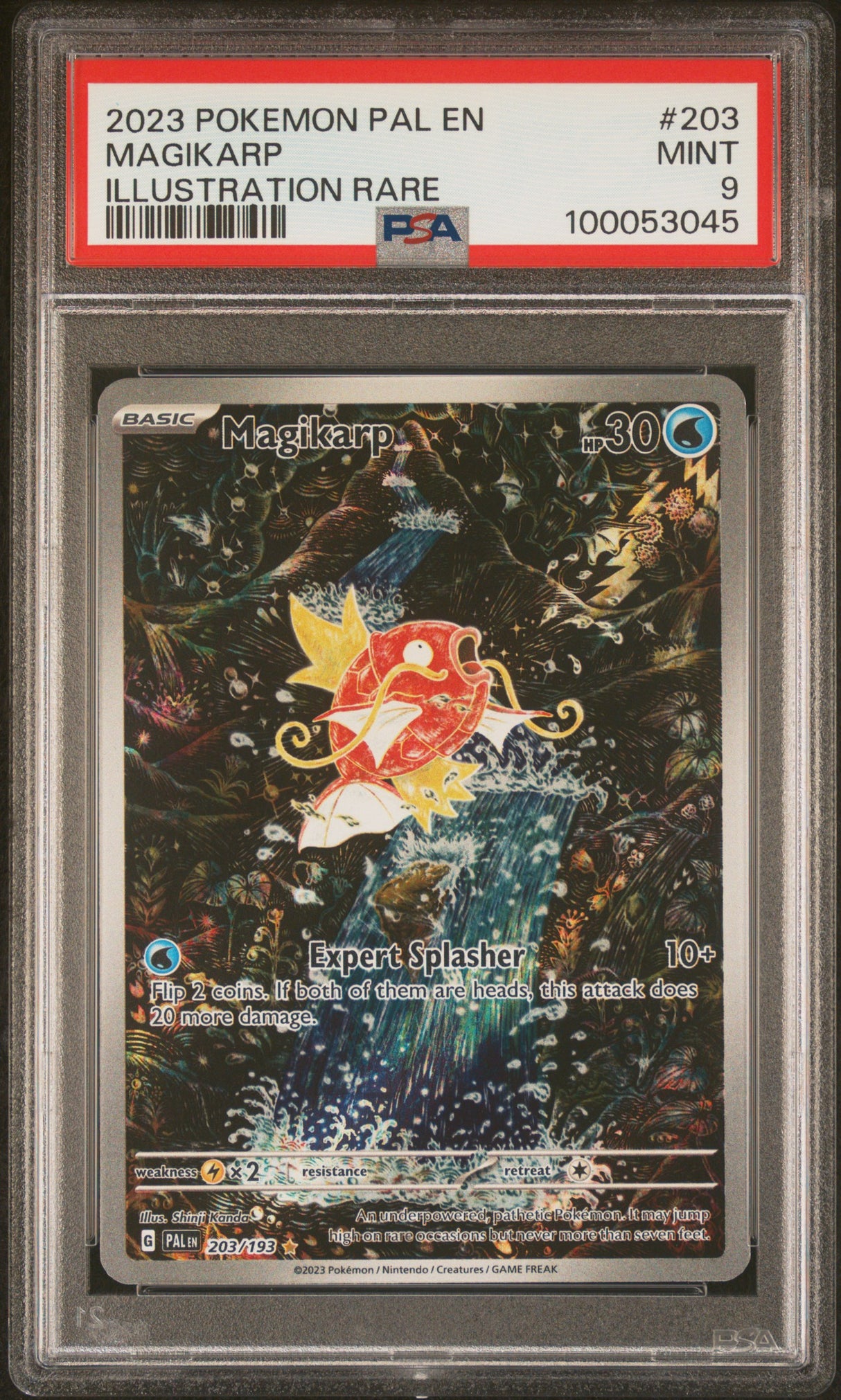PSA 9 | Magikarp 203/193