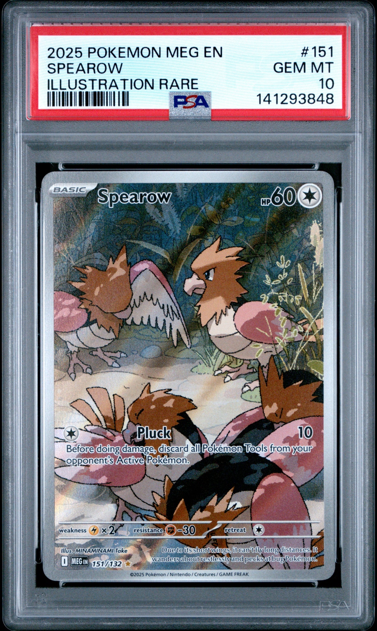 PSA 10 | Eevee 173
