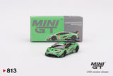 Lamborghini Huracán GT3 EVO2 #63 Iron Lynx IMSA 2023  Daytona 24 Hrs MGT00813