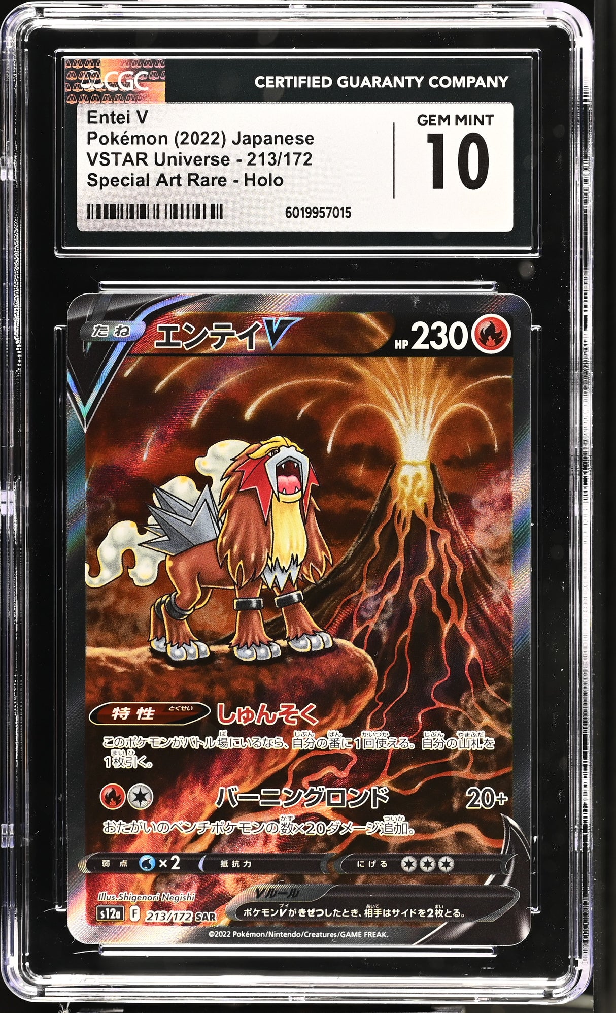 Entei V 213/172 CGC 10