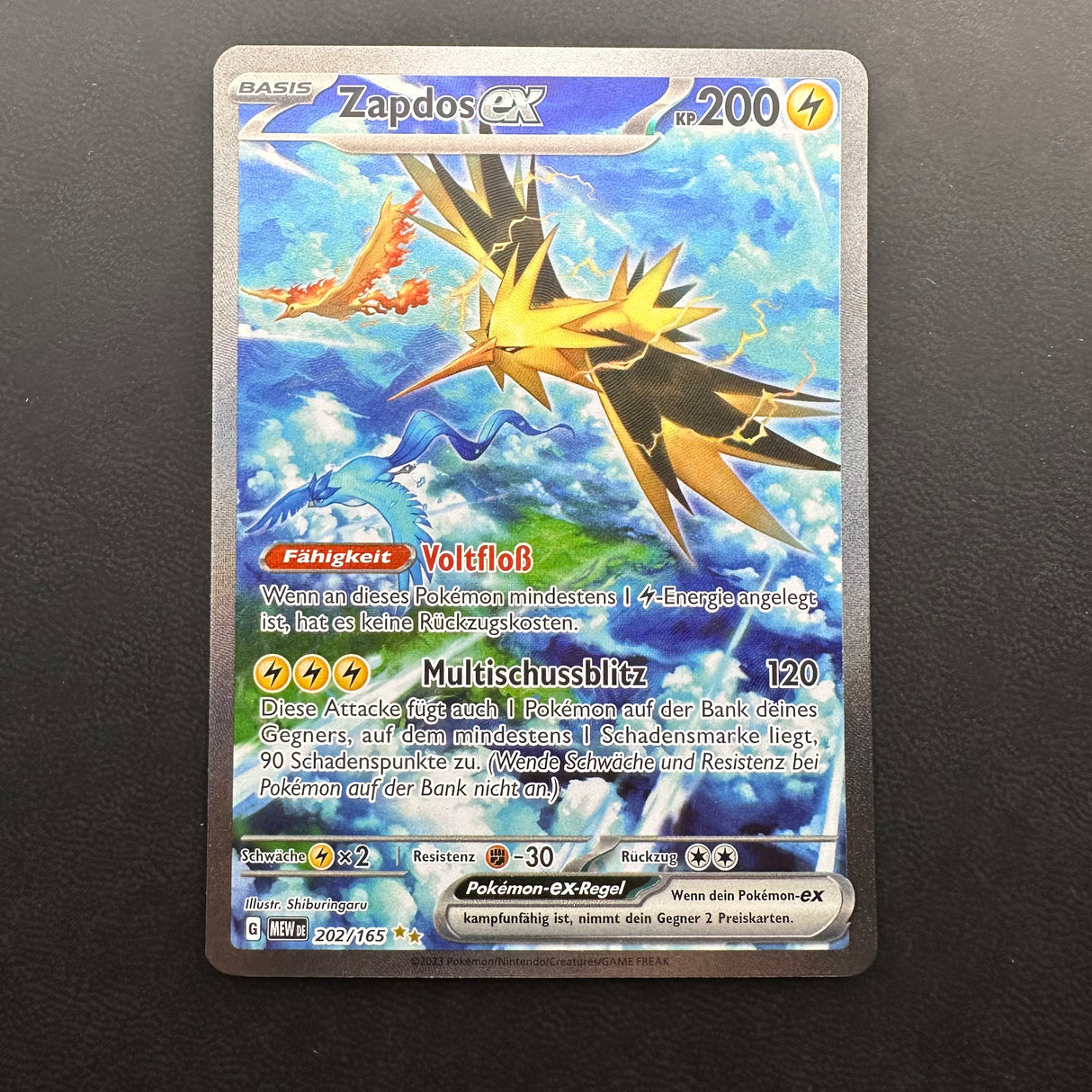 Zapdos ex 202/165 NM (DE)