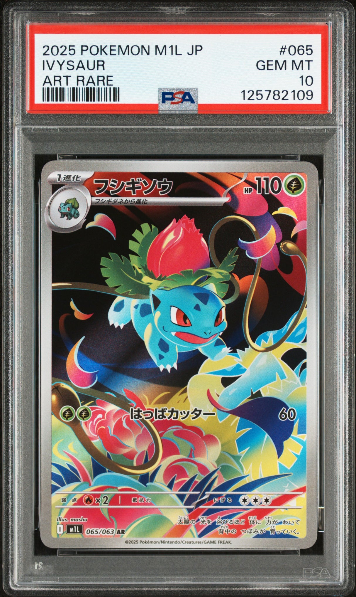 PSA 10 | Ivysaur 065/063