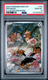 PSA 10 | Évoli 173