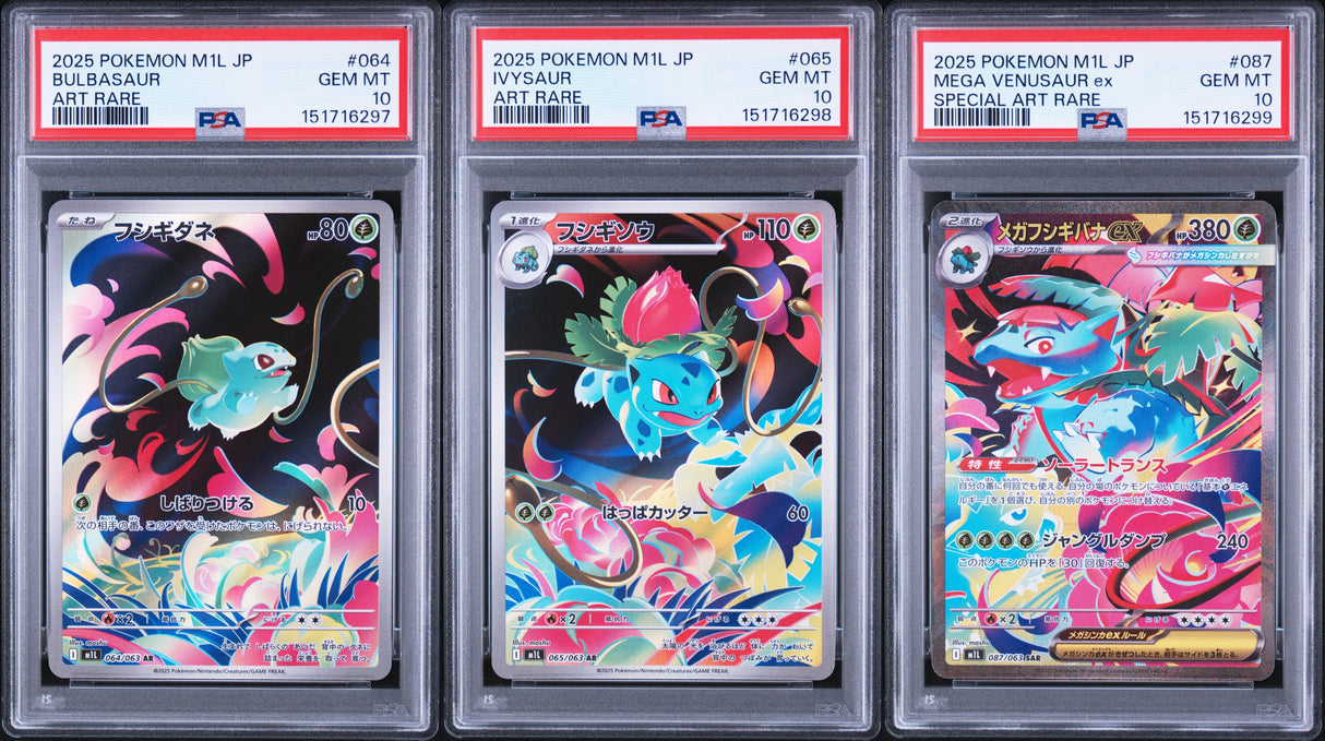 PSA 10 | Sequentiel Set Bulbasaur 064, Ivysaur 065, Venusaur 087